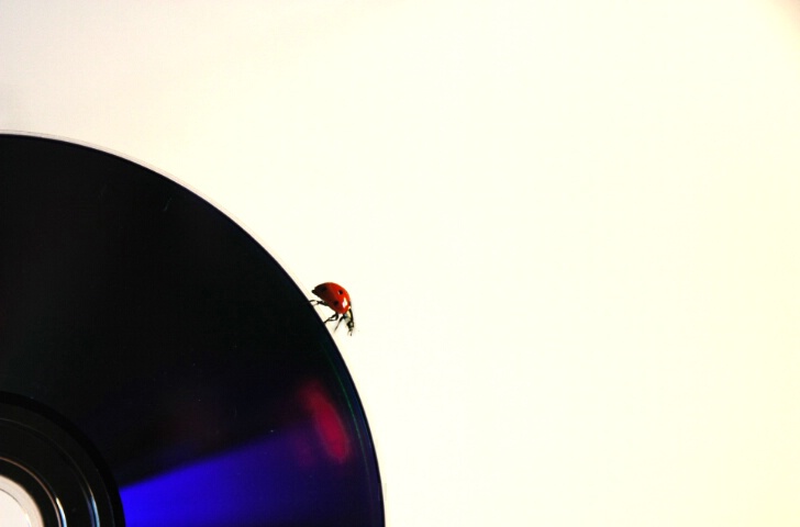 Ladybug in datafile