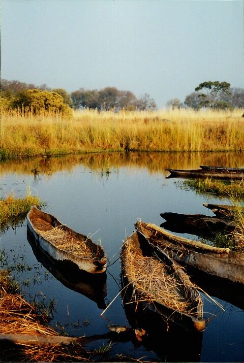 Okavango Transportation