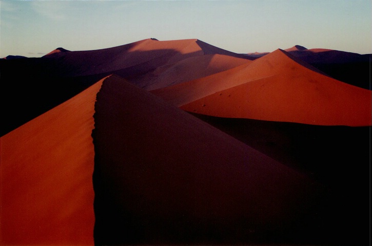 Namib's Reds