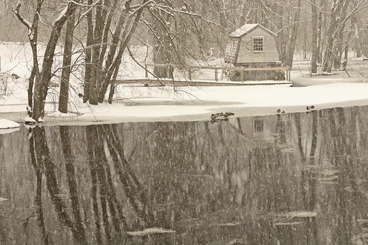 Old Manse Boathouse in Winter