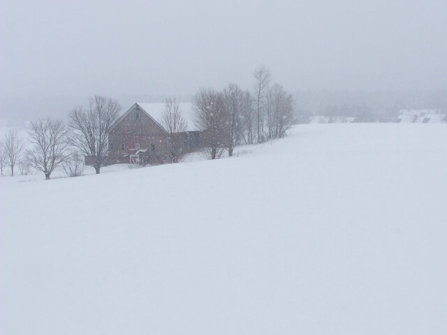 Winter in Stowe