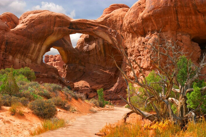 Double Arch