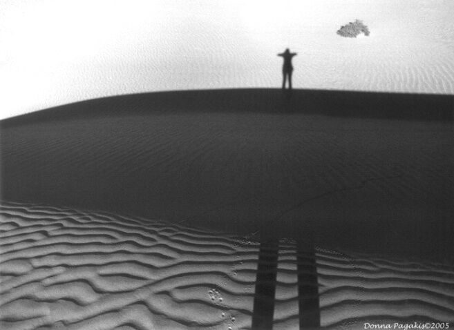 Dune Shadows by Donna