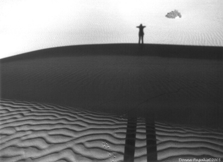 Dune Shadows by Donna