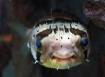 Smile for the Cam...