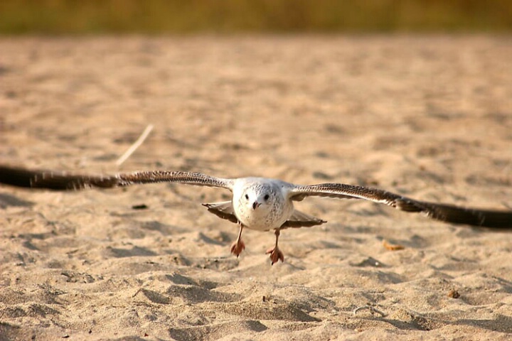 Skimming the Earth