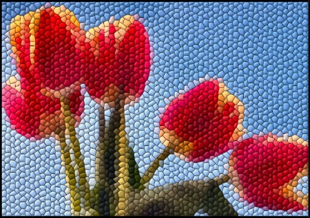 Fragmented Tulips