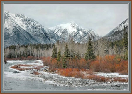 Springtime in The Rockies