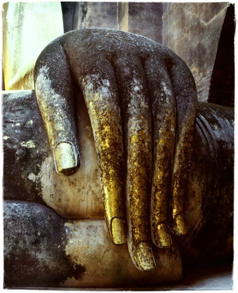 Buddha hand, Sukkothai, Thailand