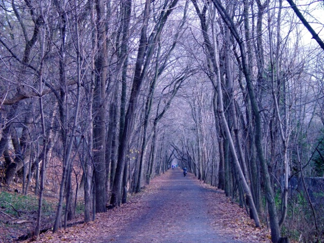 A WALK IN THE FALL