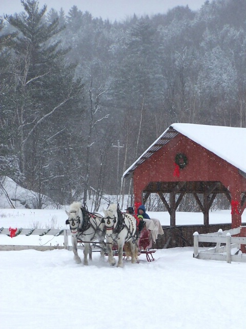 Christmas Sleigh Ride