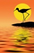 Tiptoe