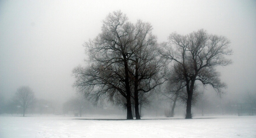 My Canadian Winter