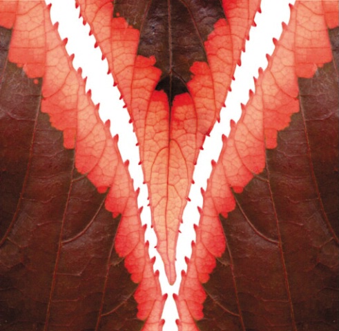 Leaf Composite