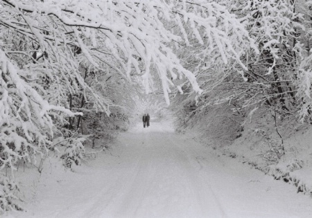 The Romance of Winter