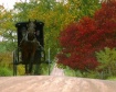 Amish Journey