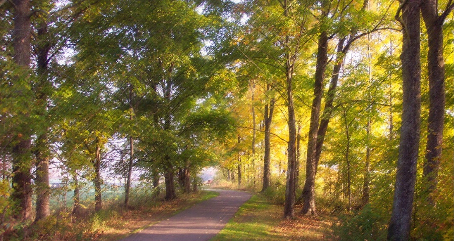 A Peaceful Stroll