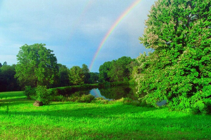 Windsor Rainbow - ID: 803848 © Deborah A. Prior
