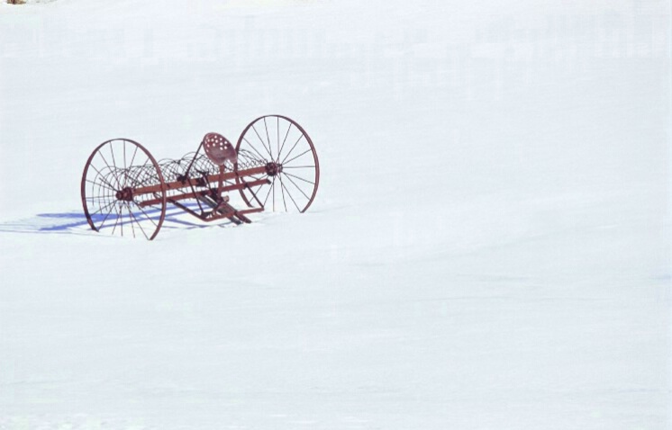 Antique Field Plow - ID: 803849 © Deborah A. Prior