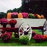 © Deborah A. Prior PhotoID# 803860: Autumn Wagon