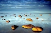  Copyright  Bob J...