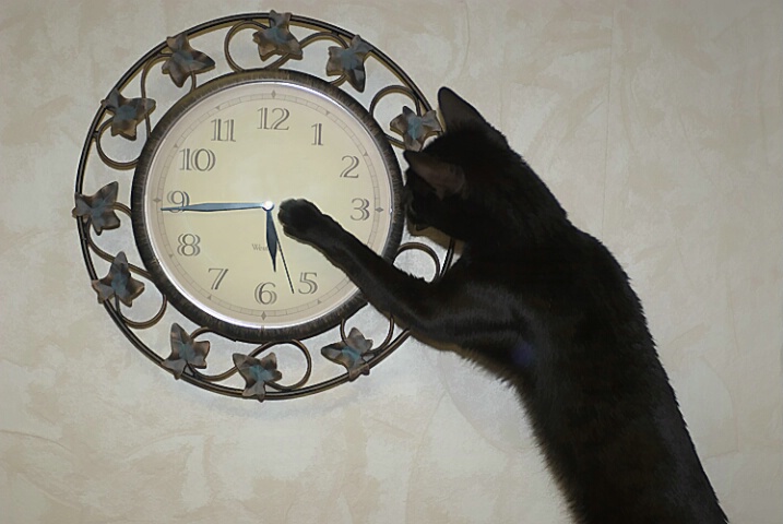 Spring Forward!