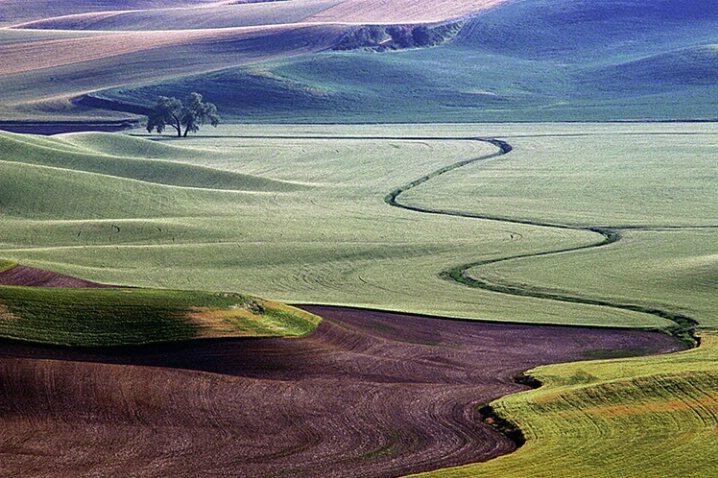 Palouse Curves