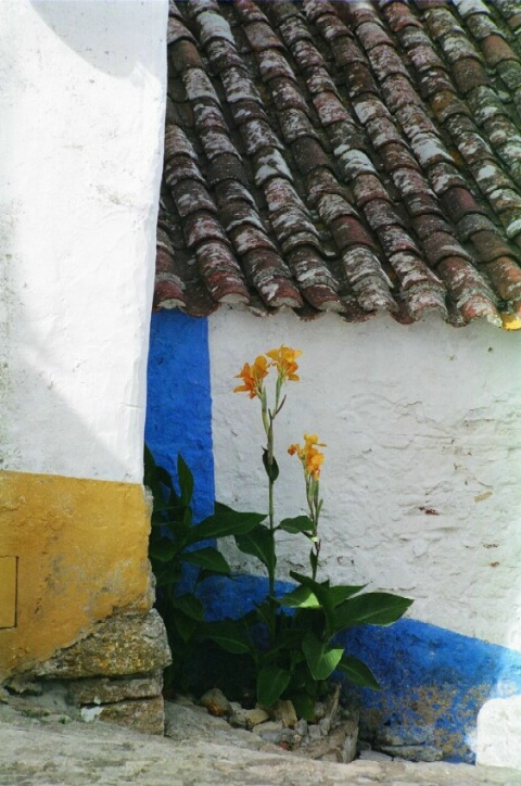 Yellow blue and white