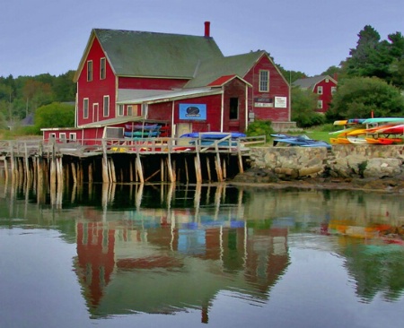 Colors of Coastal Maine