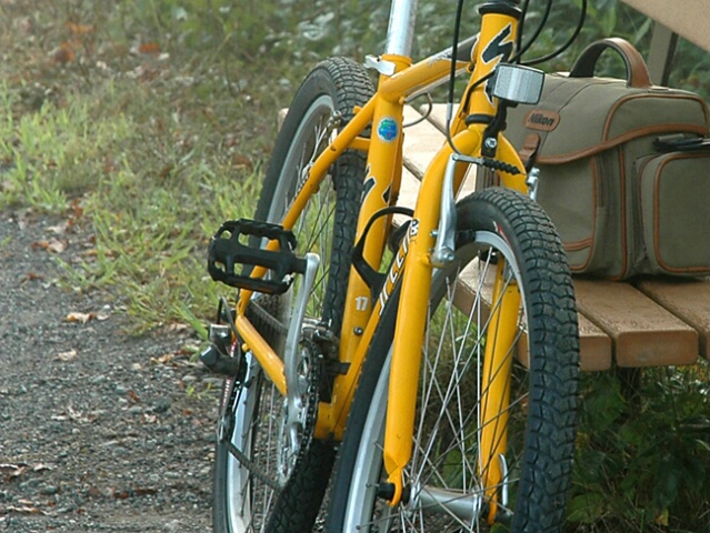 Bike, Camera, Action