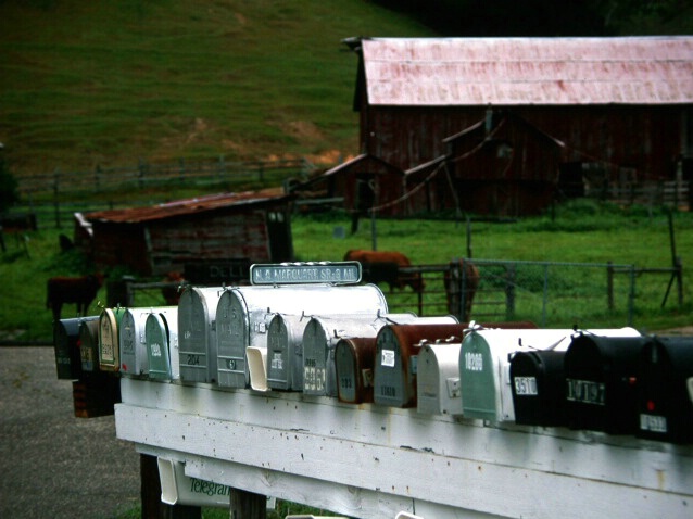 Rural Mail Boxes - ID: 813432 © Daryl R. Lucarelli