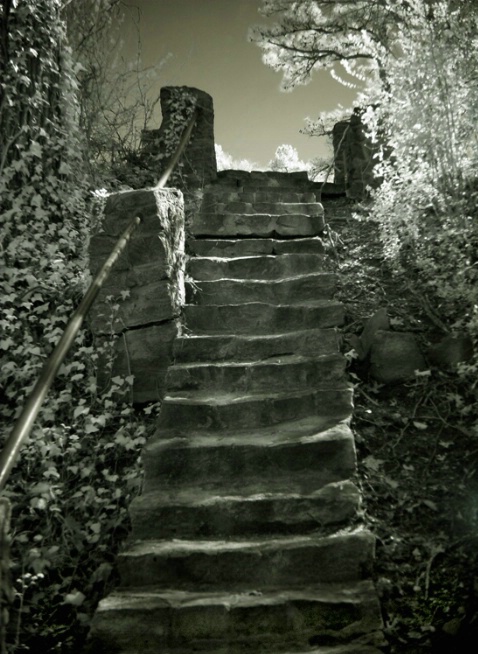 Stairs of Wayside Springs