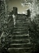 Stairs of Wayside...