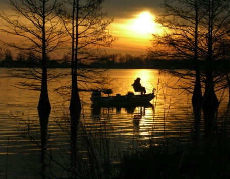 Louisiana Sunrise 