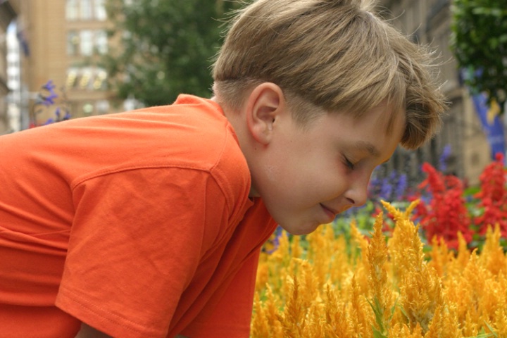 Stop to smell the flowers