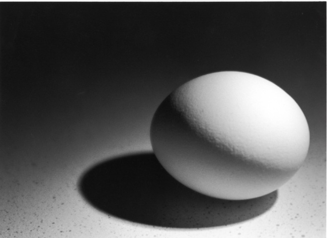Egg Portrait
