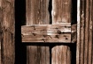 Woods and Nails -...