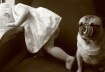 The Sitter 1
