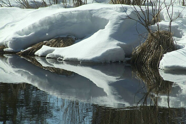 Snow on Montana Creek - ID: 832198 © Larry J. Citra