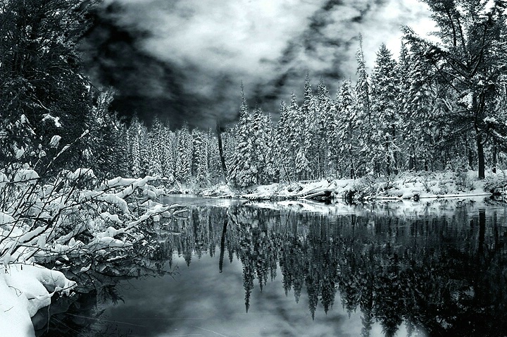 Mirrored Pines - ID: 841783 © Eric Highfield