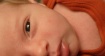 Newborn