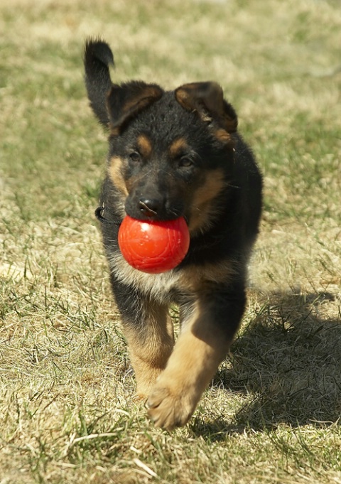 Asais Kyla and her ball