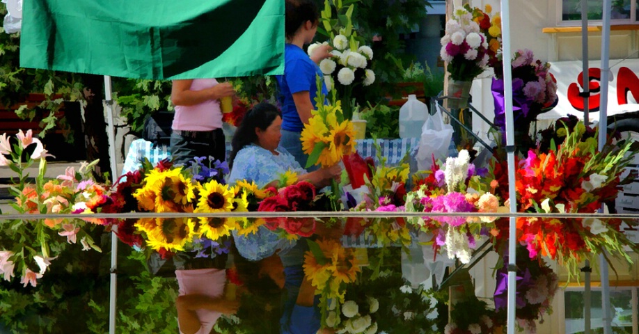 flowers for sale