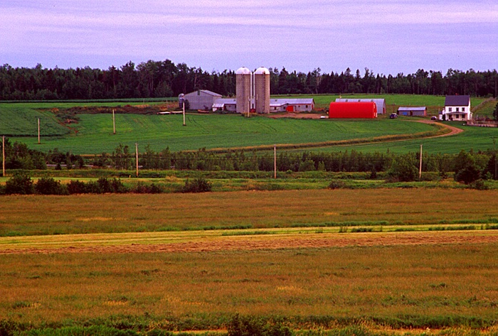 Farmland  (scale)