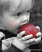 The Apple of My E...