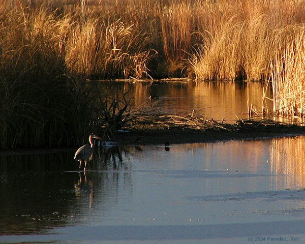 Tranquility