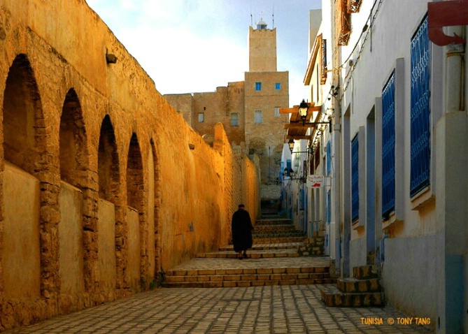 Tunisia - Homeward Bound