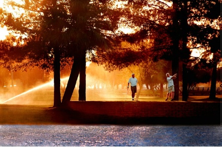 Golfers in the Sunset 