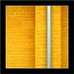 Yellow Simplicity