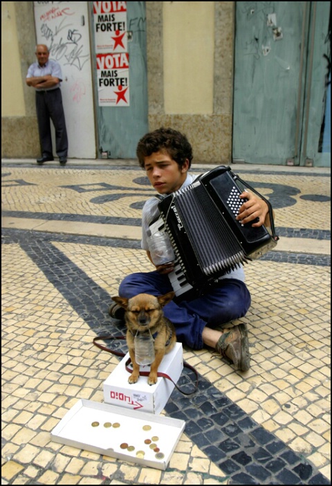 The little accordion player and his dog